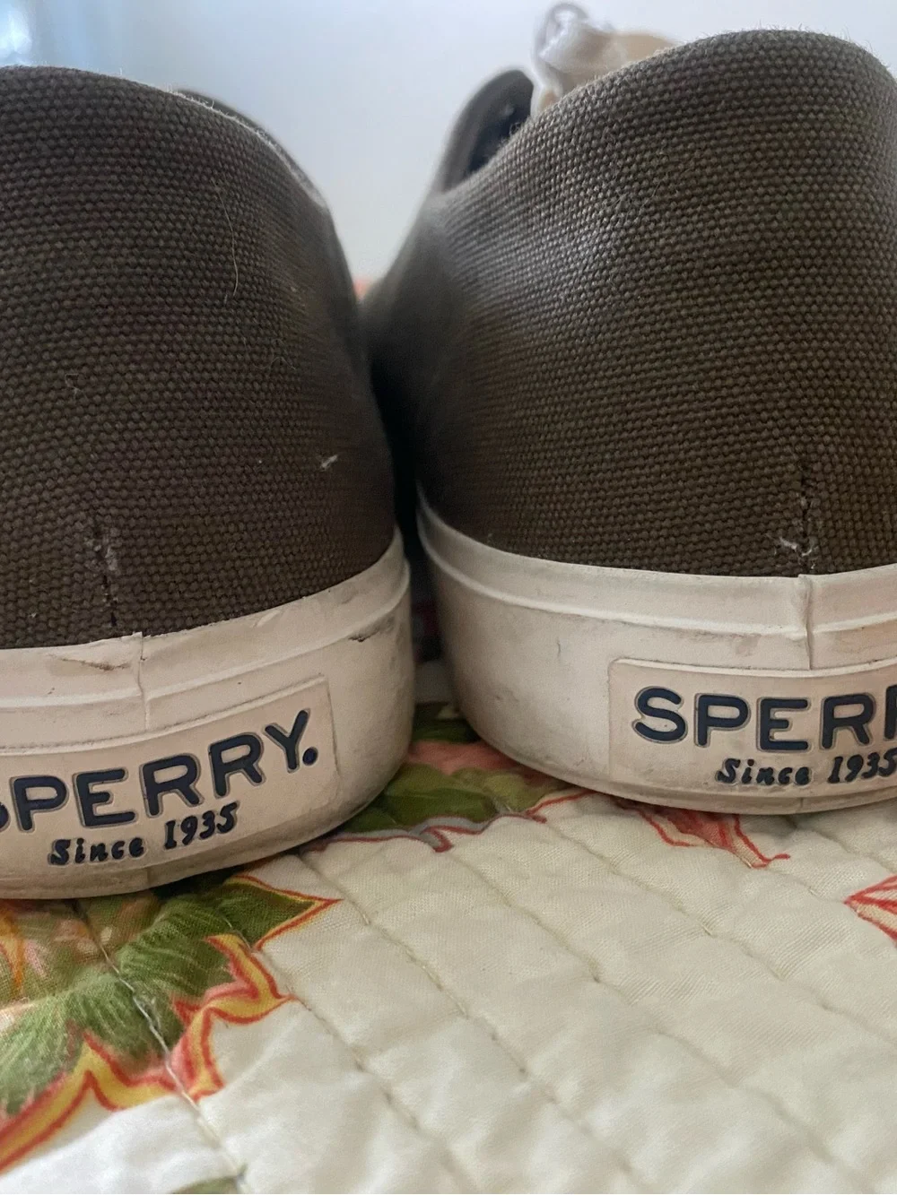 Sperry casual canvas